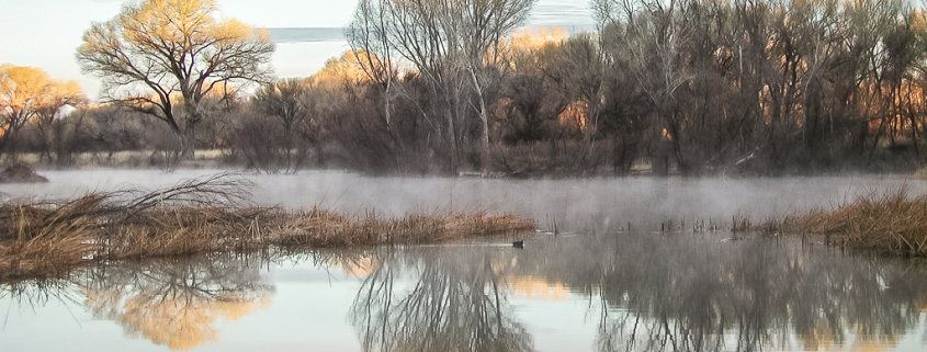 Early morning Winter mists swirling on pond.