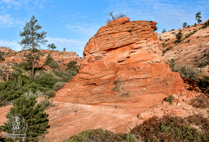Red sandstone feature from upper east "slick-rock" area of Utah's Zion National Park.