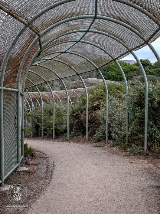 Protective chain link fence along Crystal Cove Trail.