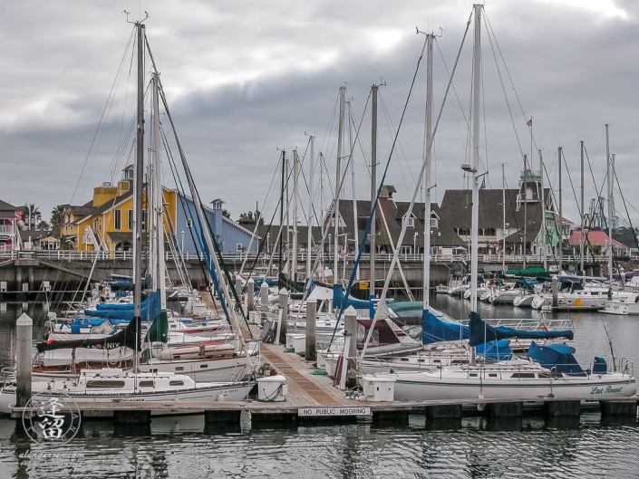 Sailboats docked at the Shoreline Village Marina in Long Beach, California.