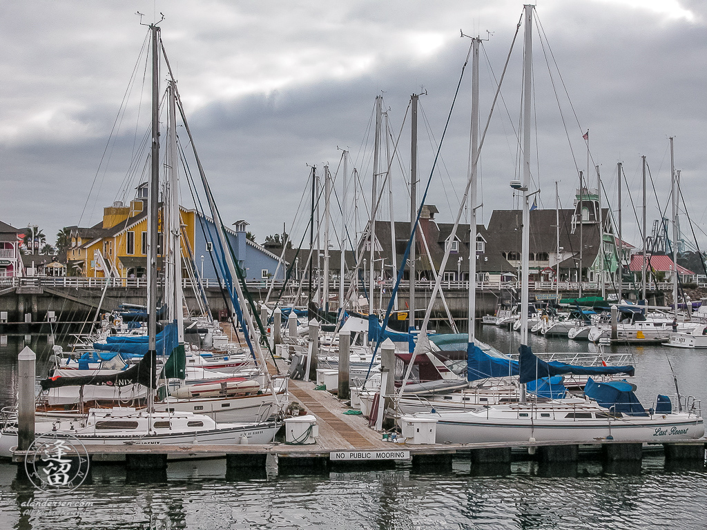 Sailboats docked at the Shoreline Village Marina in Long Beach, California.