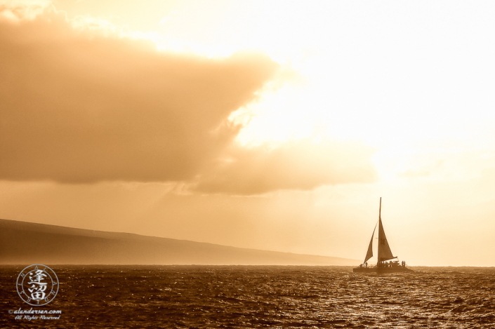 Catamaran sailing on a shimmering golden ocean at sunset.