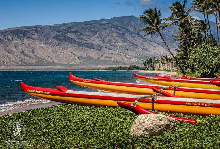 Red and gold canoes of Kihei Canoe Club lined up on beach.