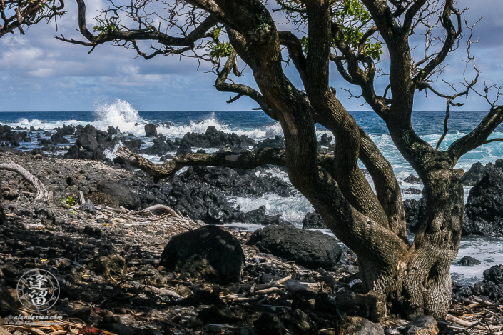 Waves crashing into jagged black lava rocks on beach at Ke'anaei.