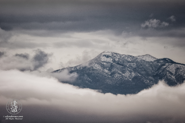 Snow-covered Carr Peak peering out of cloud embankment.