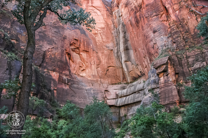 Red sandstone cliffs of the Temple Of Sinawava in Zion National Park.