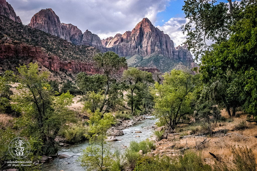 Virgin River flowing through green canopied oaks at Utah's Zion National Park.