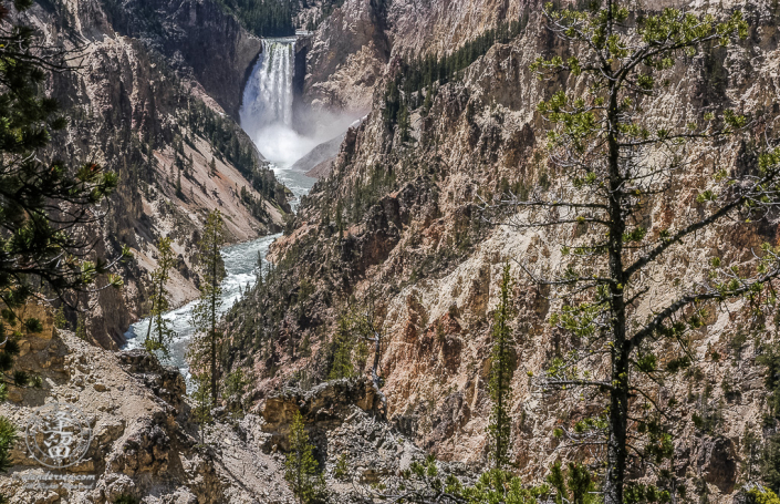 Yellowstone River cascading into Yellowstone National Park's Grand Canyon at Lower falls.
