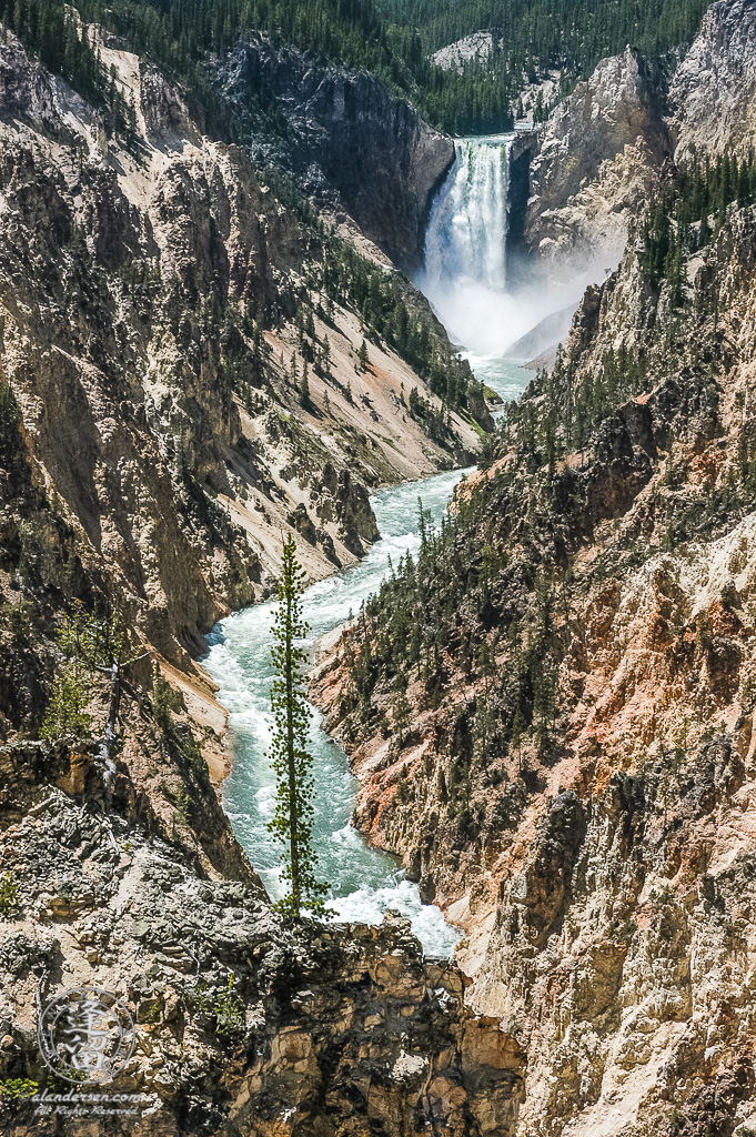 Yellowstone River cascading into Yellowstone National Park's Grand Canyon at Lower falls.