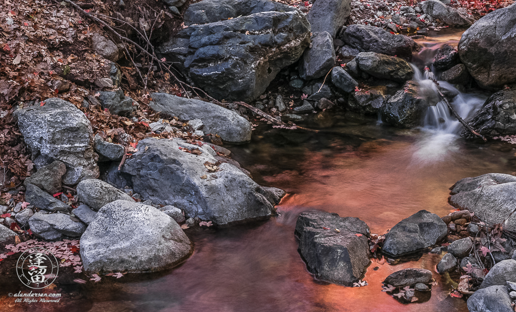 Reflections of Autumn in the slow-moving waters of Miller Creek in Arizona's scenic Huachuca Mountains.