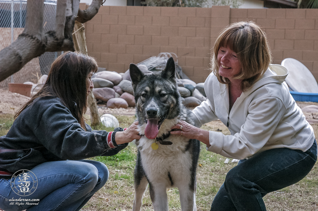 Lori loved Hachi the moment she saw him.