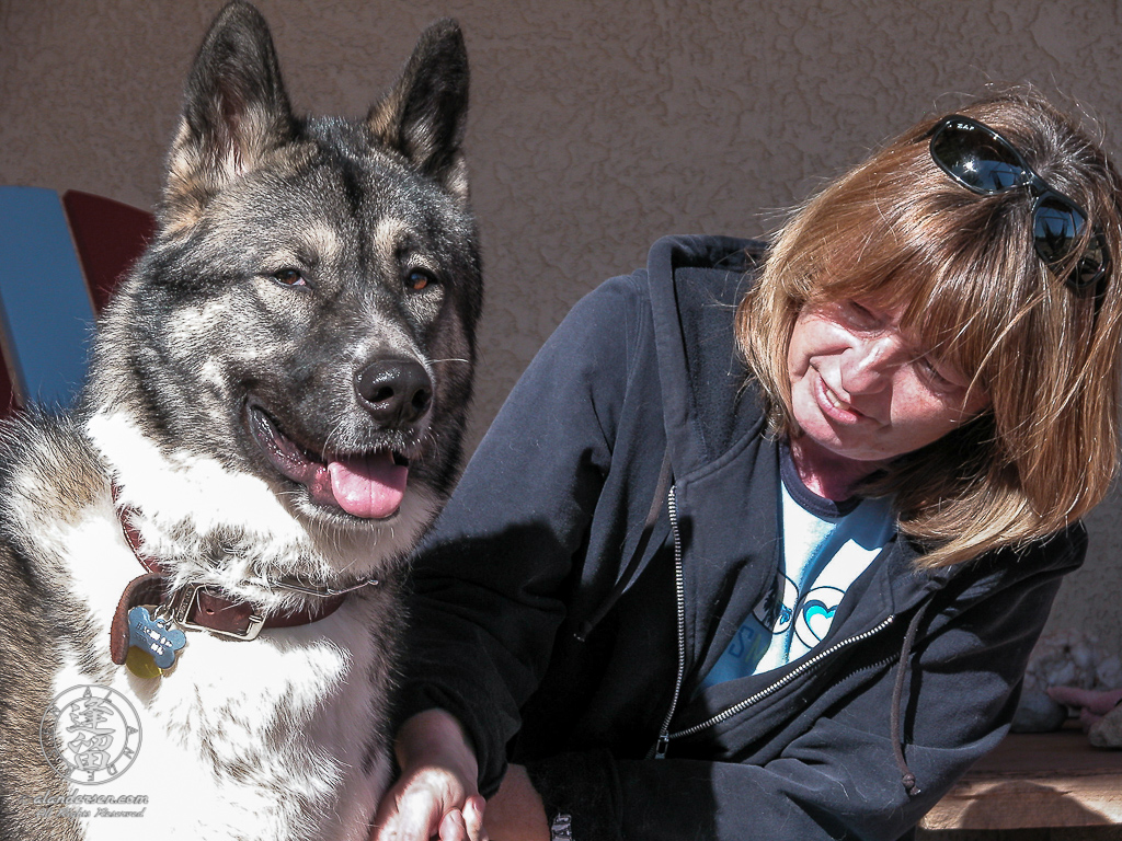 Lori grooming Hachi on a bright sunny day.