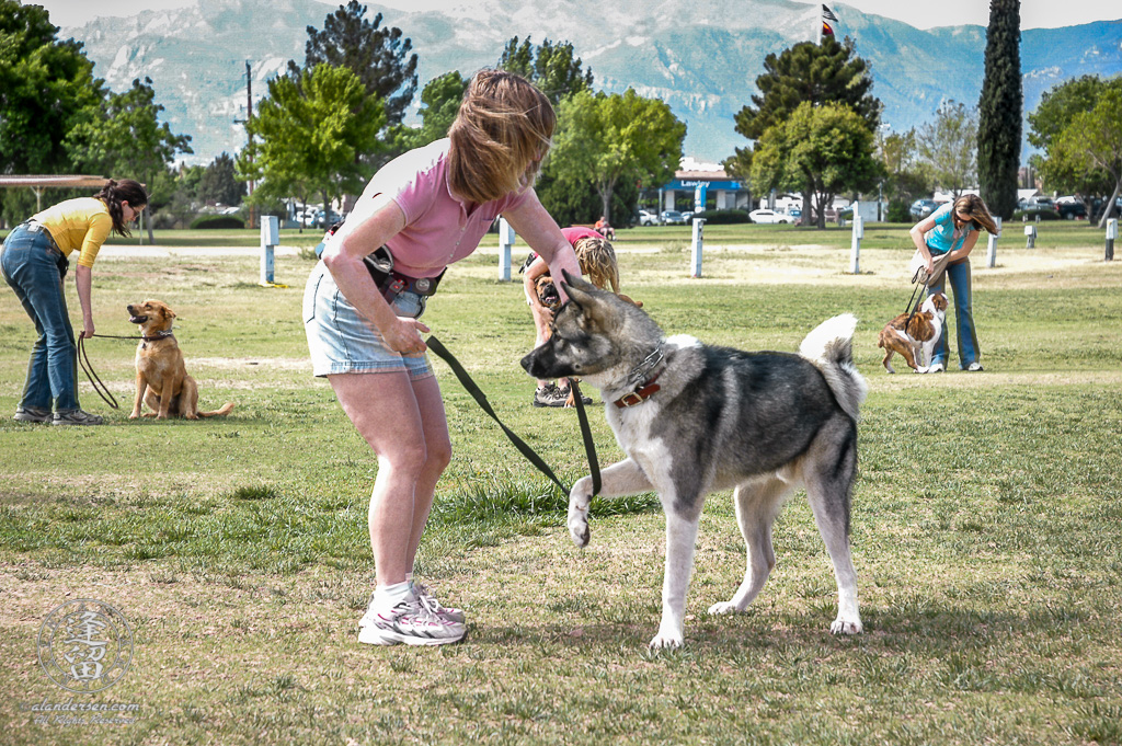 Lori trying to get Hachi to focus better during his canine obedience class.