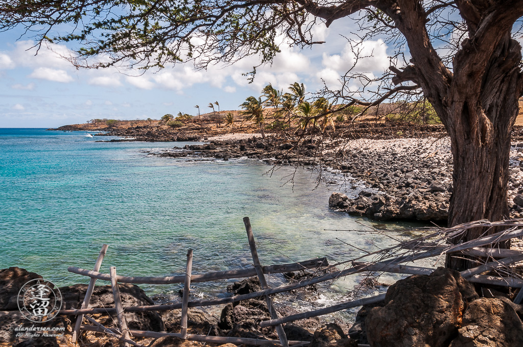 A vacation image showing a Kiawe tree providing shade near the crystal clear waters of a secluded cove at Lapakahi State Historical Park in North Kohala on the Big Island of Hawwaii.