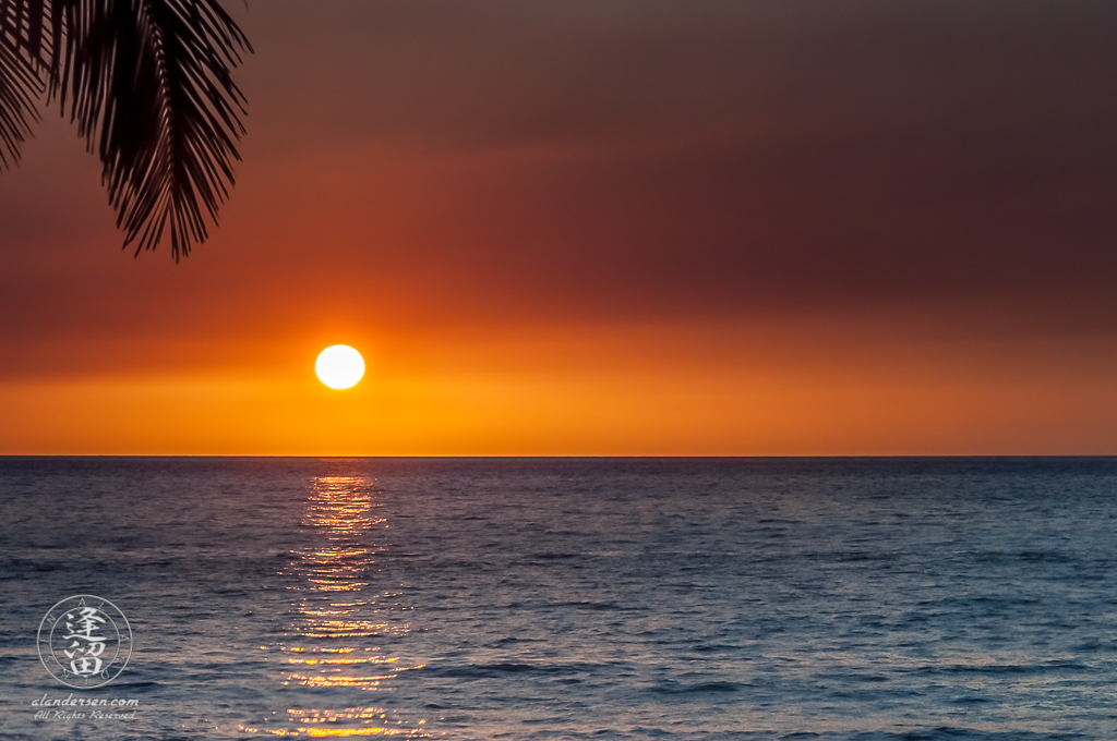 Minimalistic composition of elements comprising a tropical sunset.