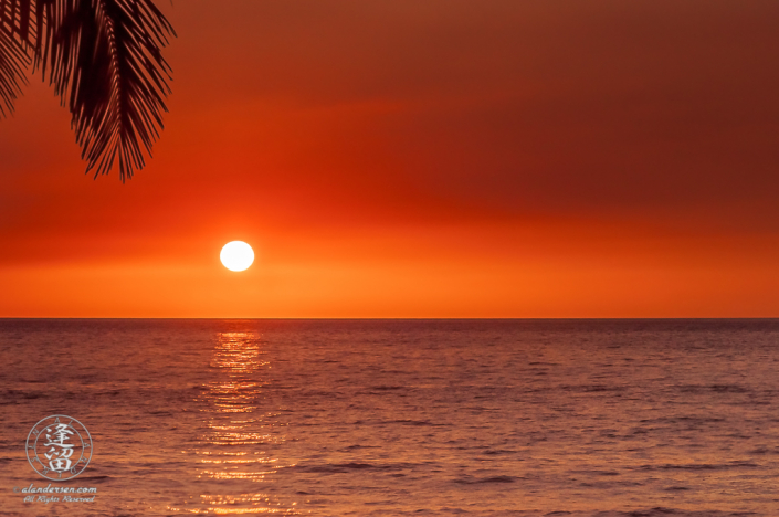 Minimalistic composition of elements comprising a tropical sunset tinted orange.
