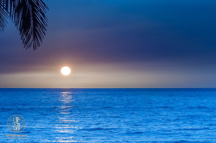 Minimalistic composition of elements comprising a tropical sunset tinted blue.
