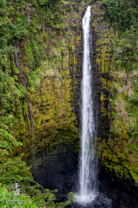Akaka Falls free-falling 420 feet from green tropical forest into black rocky pool.