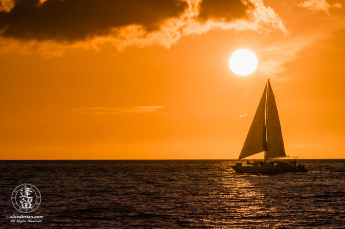 Catamaran sailing beneath a beautiful copper-colored sunset.
