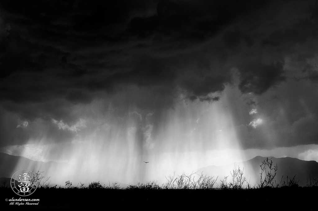 Monsoon storm sweeping across a desert valley.