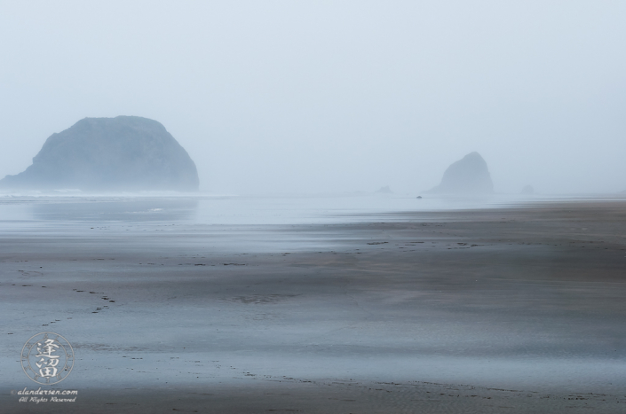Wet foggy morning at Tolovana Beach State Recreation Site.