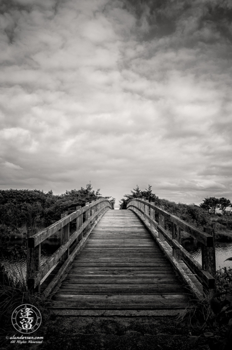 Wooden foot bridge providing access to beach at Ona Beach State Park.
