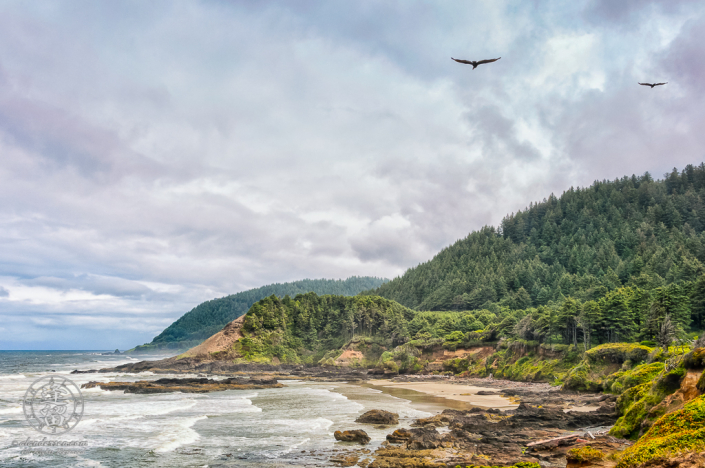 Two seagulls flying over rocky shoreline by Neptune State Scenic Viewpoint.