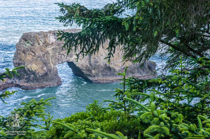 Arch Rock framed by evergreens at Arch Rock Roadside Viewpoint.
