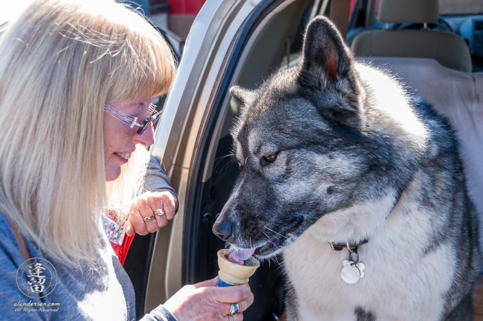 Hachi eating a Birthday ice cream cone while tailgating in Tombstone