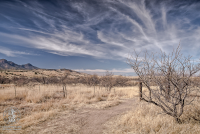 Brown Canyon Grasslands Desert grassland beneath Cirrus cloud tendrils in blue sky.
