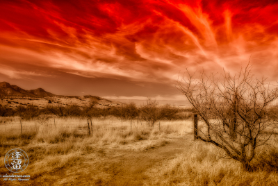 Brown Canyon Grasslands Toned Desert grassland beneath Cirrus cloud tendrils in red-toned sky.