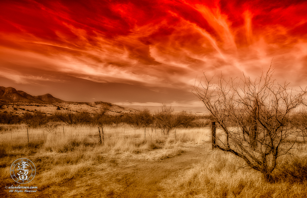 Desert grassland beneath Cirrus cloud tendrils in red-toned sky.