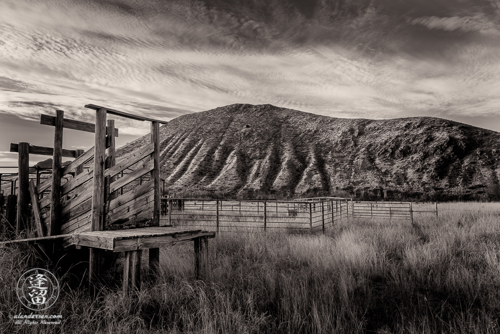 Wooden cattle loading chute and metal pens in hilly grasslands.