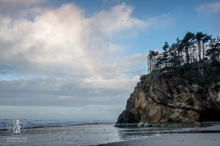 Rainbows and seagulls on a sunny moring at Hug Point State Park near Cannon Beach in Oregon.