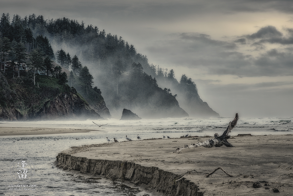 A water channel cuts through a sandbar lined with seagulls before the misty hills at Proposal Rock in Neskowin, Oregon.