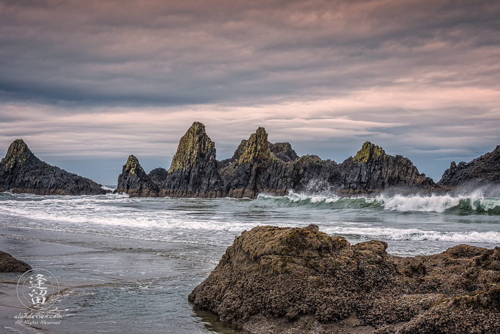 Morning Sun paints tips of jagged rock formations lining beach at Seal Rock State Wayside in Oregon.