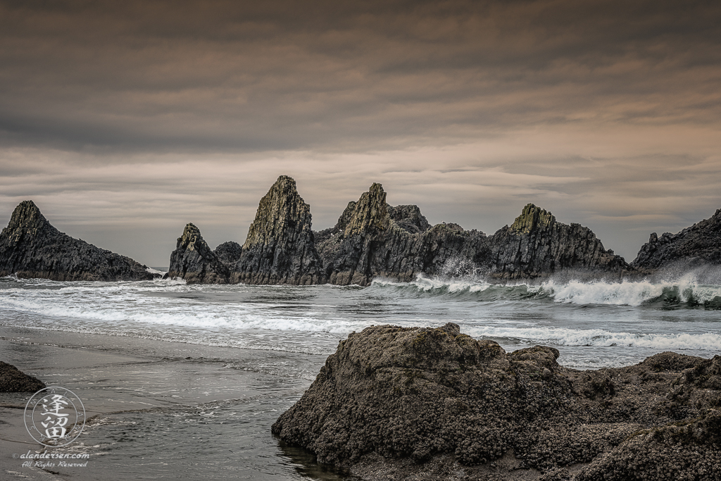 Morning Sun paints tips of jagged rock formations lining beach at Seal Rock State Wayside in Oregon.