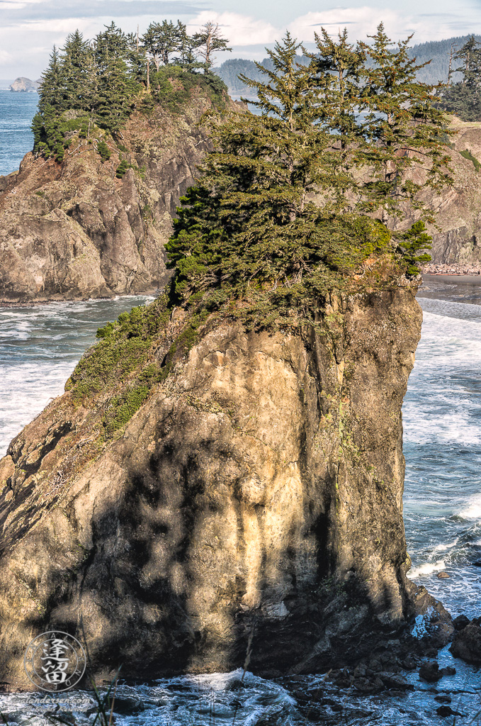 The morning sunlight touching a rugged portion of the Oregon coast at Arch Rock Roadside Viewpoint near Brookings.