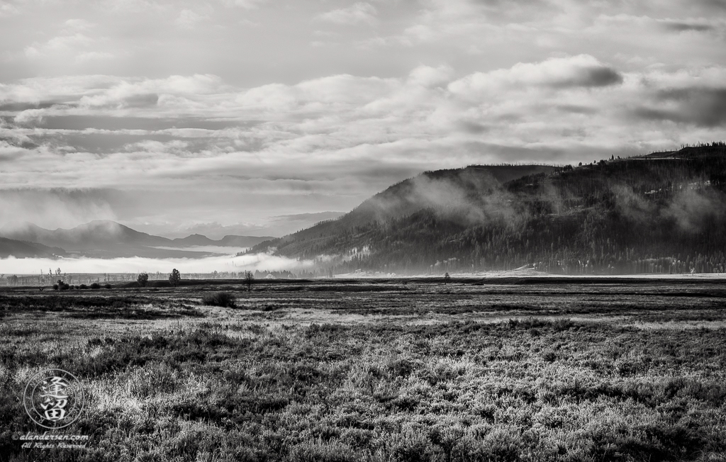 Lamar Valley filled with clouds on a cold and wet Autumn morning.