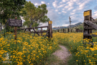 Morning At Brown Canyon Ranch Beautiful Summer morning at Brown Canyon Ranch in Southeastern Arizona.