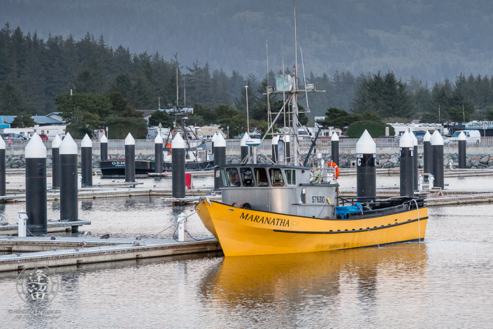 Bright yellow fishing boat Maranatha berthed at Crescent Bay City Marina in Northern California.