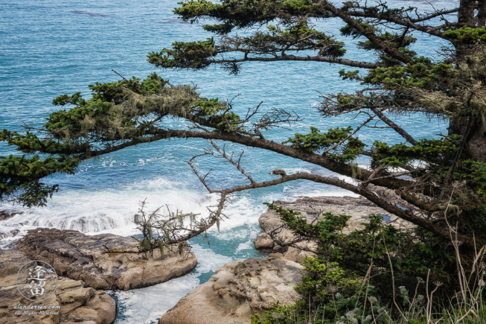Scenic view looking down on rocks from North Cove Trail at Cape Arago State Park in Oregon.
