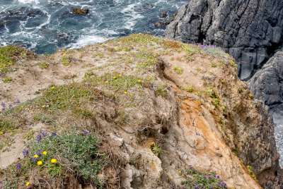 Sandy Cliff At Point St George Standing atop a sandy cliff looking down at the waves breaking on the rocks below, at Point St George outside of Crescent City in Northern California.