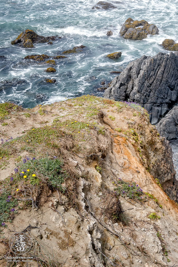 Standing atop a sandy cliff looking down at the waves breaking on the rocks below, at Point St George outside of Crescent City in Northern California.