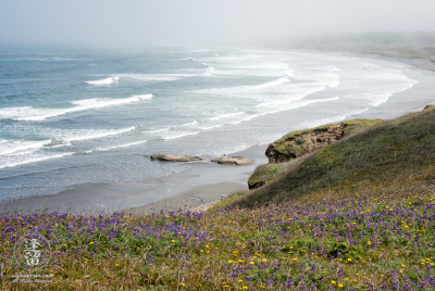 Misty Morning At Kellog Beach Morning fog is just starting to lift on this beautiful June morning at Kellog Beach, by Point St. George outside of the Northern California town of Crescent City.