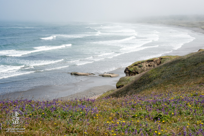 Morning fog is just starting to lift on this beautiful June morning at Kellog Beach, by Point St. George outside of the Northern California town of Crescent City.