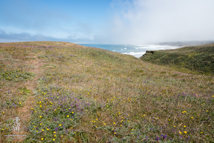 One of the dozens of grassy trails that criss-cross the area around Point St Geroge outside of Crescent City in Northern California.