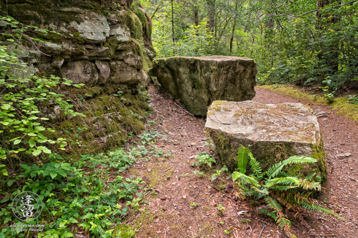 View of trail to top of Golden Falls at Golden and Silver Falls State Natural Area near Allegany in Oregon.