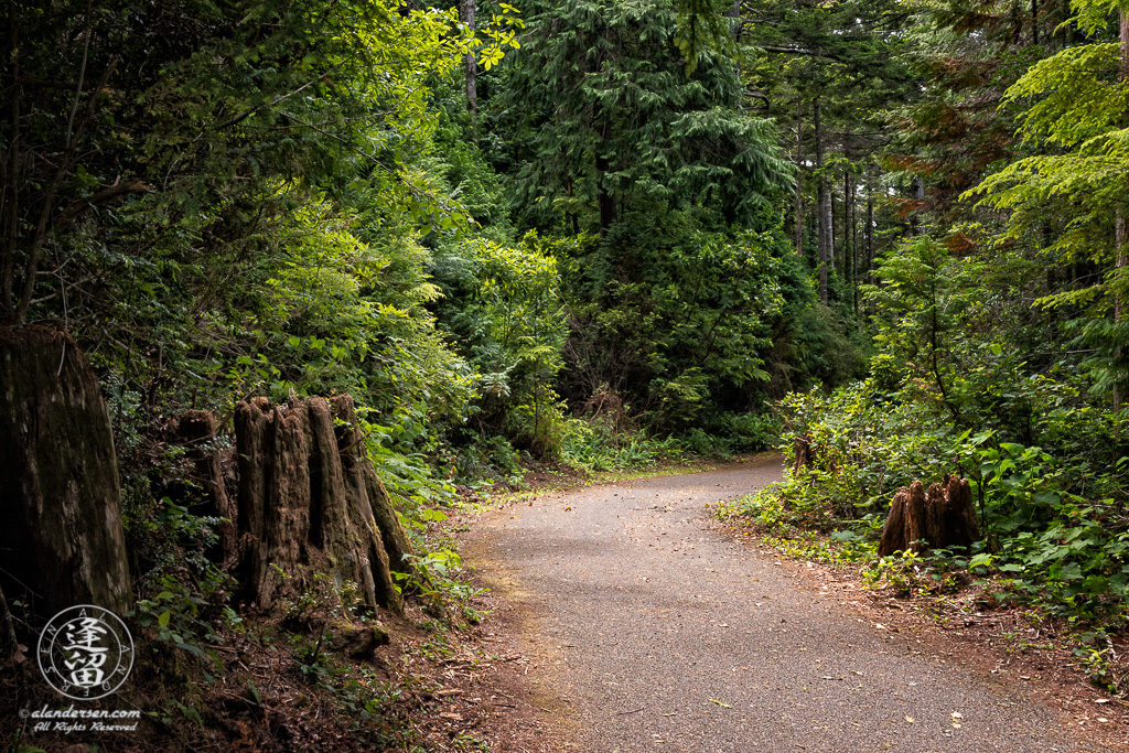 Paved trail that circumnavigates Lower Empire Lake at John Topits Park in North Bend, Oregon.