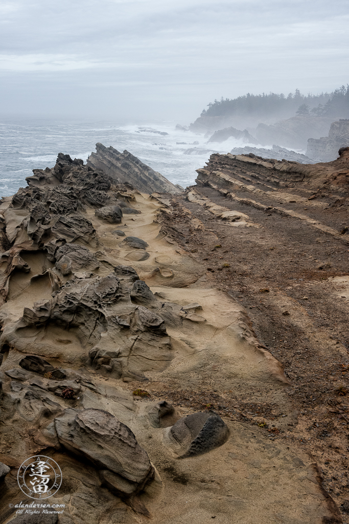The amazing geology of the rugged cliffs at Shore Acres State Park outside of Charleston in Oregon.